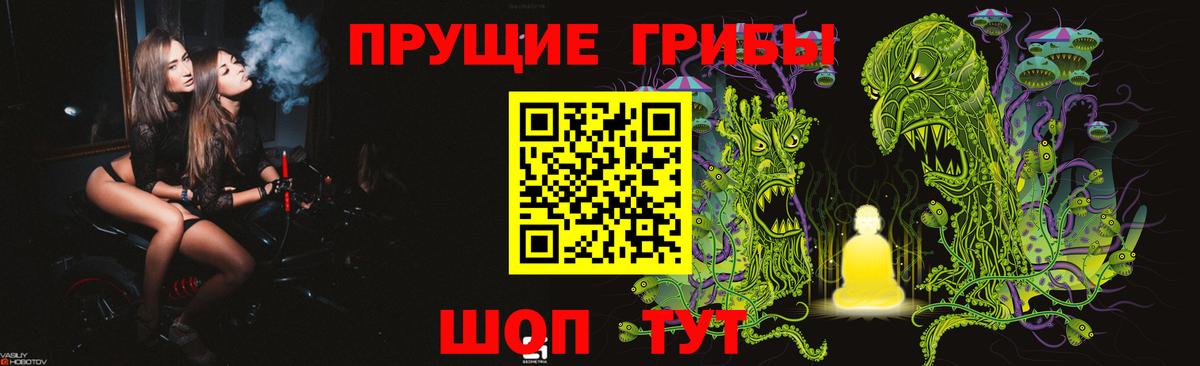 Псилоцибиновые грибы прущие грибы Жуковский
